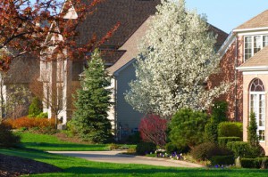 Houses in springtime